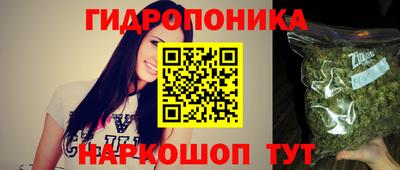 a pvp Пенза