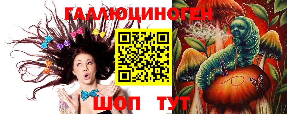 Тосно  Псилоцибиновые грибы MAGIC MUSHROOMS  Вход с VPN  Галлюциногенные грибы прущие грибы 